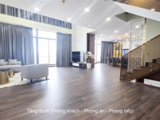 Chính chủ cho thuê penthouse duplex sang trọng tại chung cư gateway vũng tàu 258,60m2