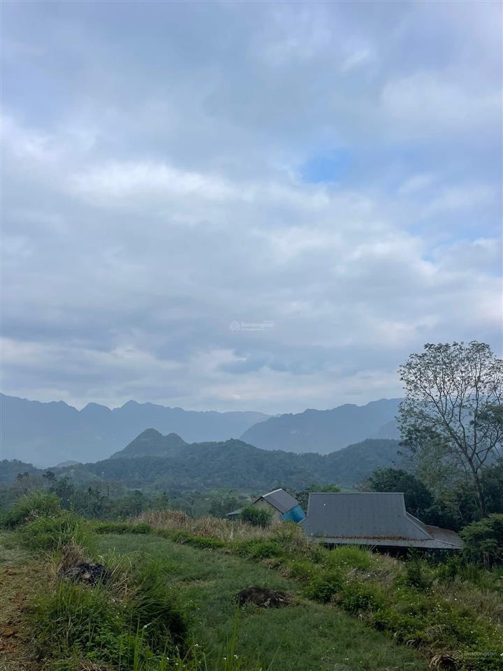 3200m2 (300m2 thổ cư). giá 8.2 tr/m2 có thương lượng