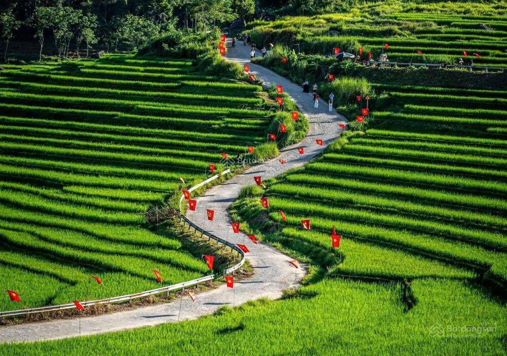 3200m2 (300m2 thổ cư). giá 8.2 tr/m2 có thương lượng