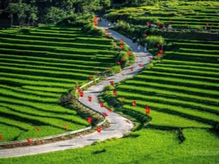 3200m2 (300m2 thổ cư). giá 8.2 tr/m2 có thương lượng