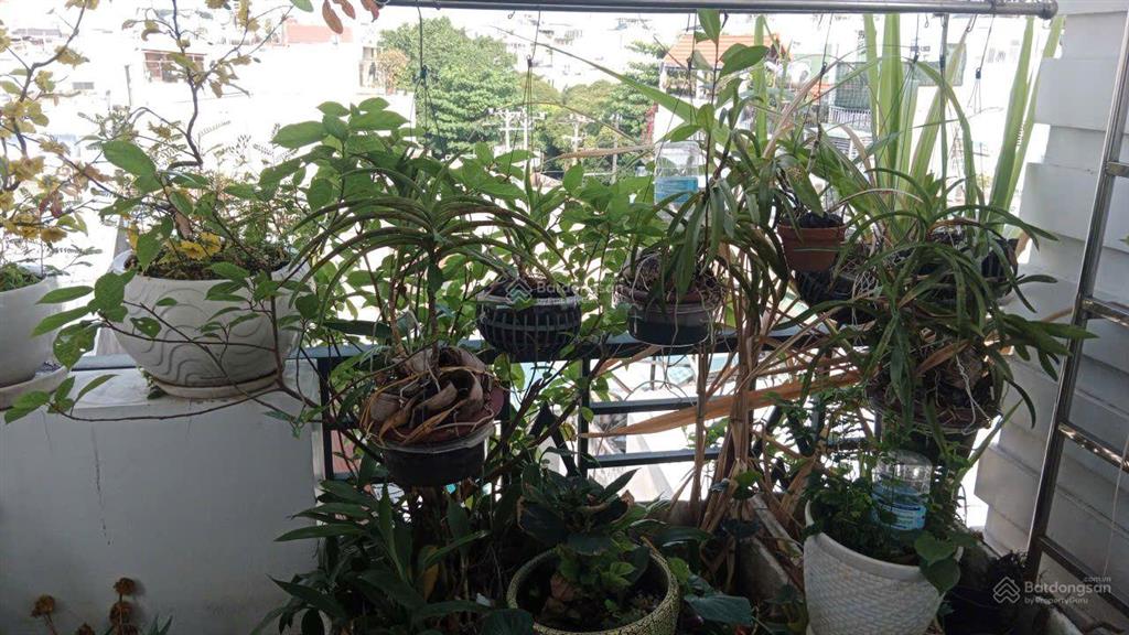 Nhà riêng chỉ 4,8 tỷ ở ni sư huỳnh liên, p 10, q.tân bình, hàng hiếm tại giá tốt