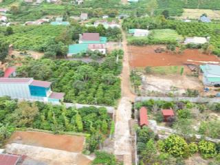 Cơ hội đầu tư giá f0. xã tân châu  di linh lâm đồng. giá 700 triệu/lô