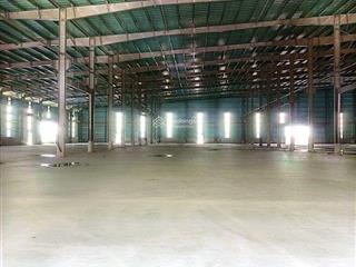 Cho thuê xưởng tại kcn quất động thường tín 5000m2 giá hợp lý