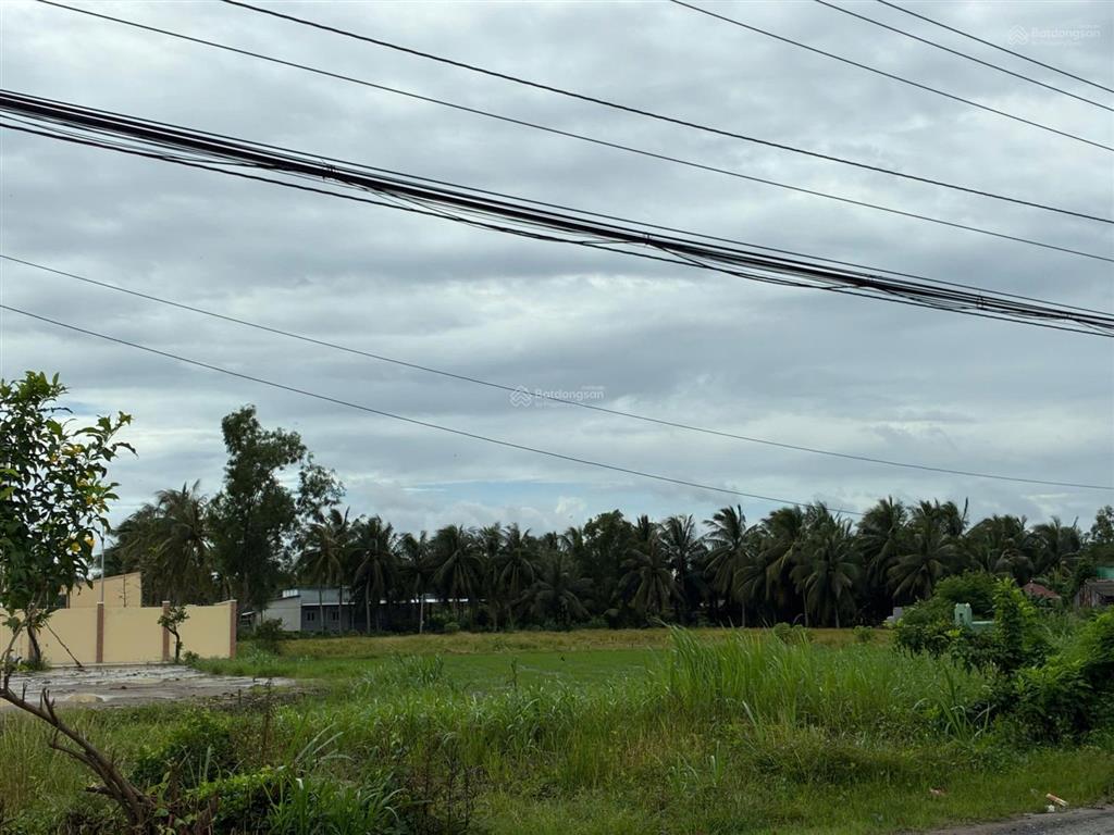 Bán đất cạnh trường tiểu học nguyễn thị tốt, tổng diện tích 5796m2, có 300m2 thổ cư.