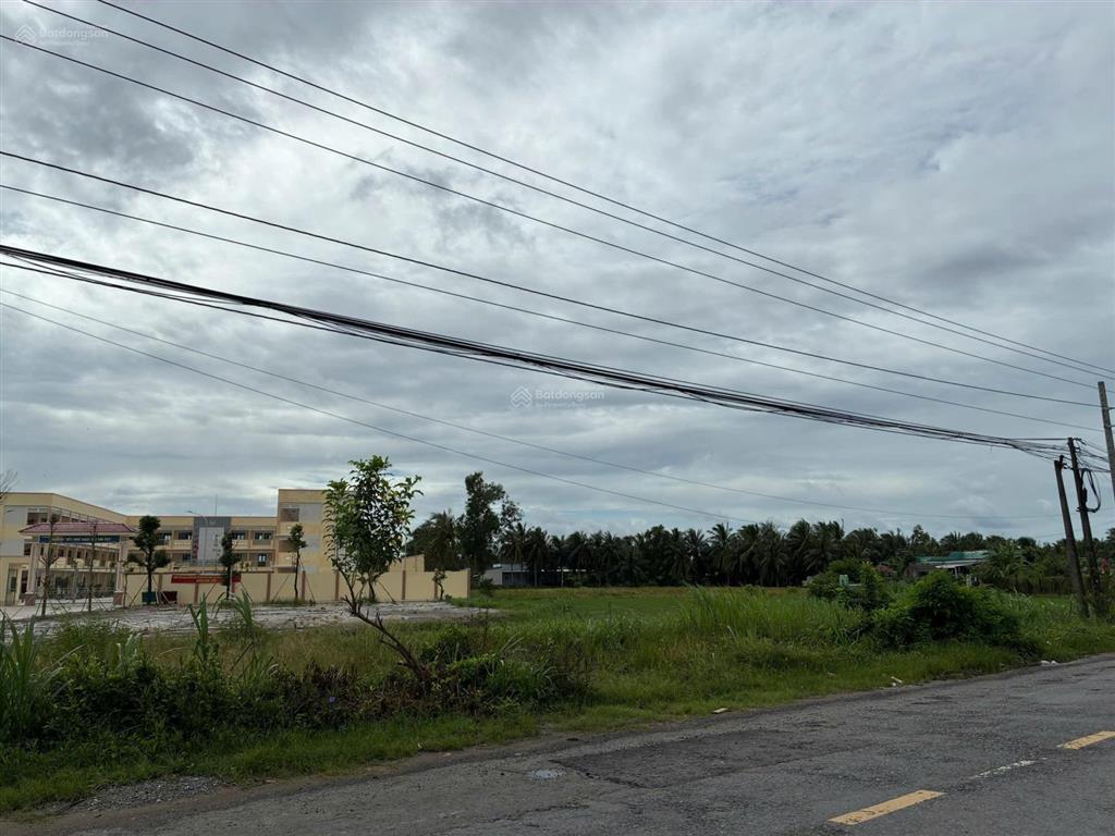 Bán đất cạnh trường tiểu học nguyễn thị tốt, tổng diện tích 5796m2, có 300m2 thổ cư.