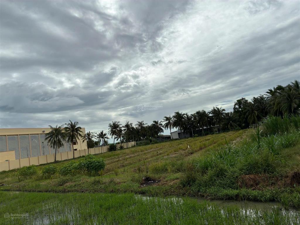 Bán đất cạnh trường tiểu học nguyễn thị tốt, tổng diện tích 5796m2, có 300m2 thổ cư.