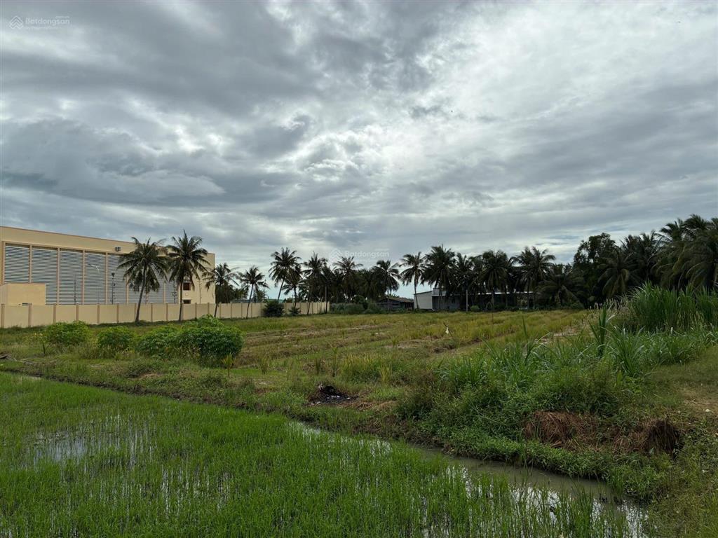 Bán đất cạnh trường tiểu học nguyễn thị tốt, tổng diện tích 5796m2, có 300m2 thổ cư.