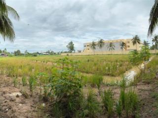 Bán đất cạnh trường tiểu học nguyễn thị tốt, tổng diện tích 5796m2, có 300m2 thổ cư.