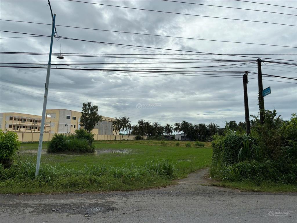 Bán đất cạnh trường tiểu học nguyễn thị tốt, tổng diện tích 5796m2, có 300m2 thổ cư.