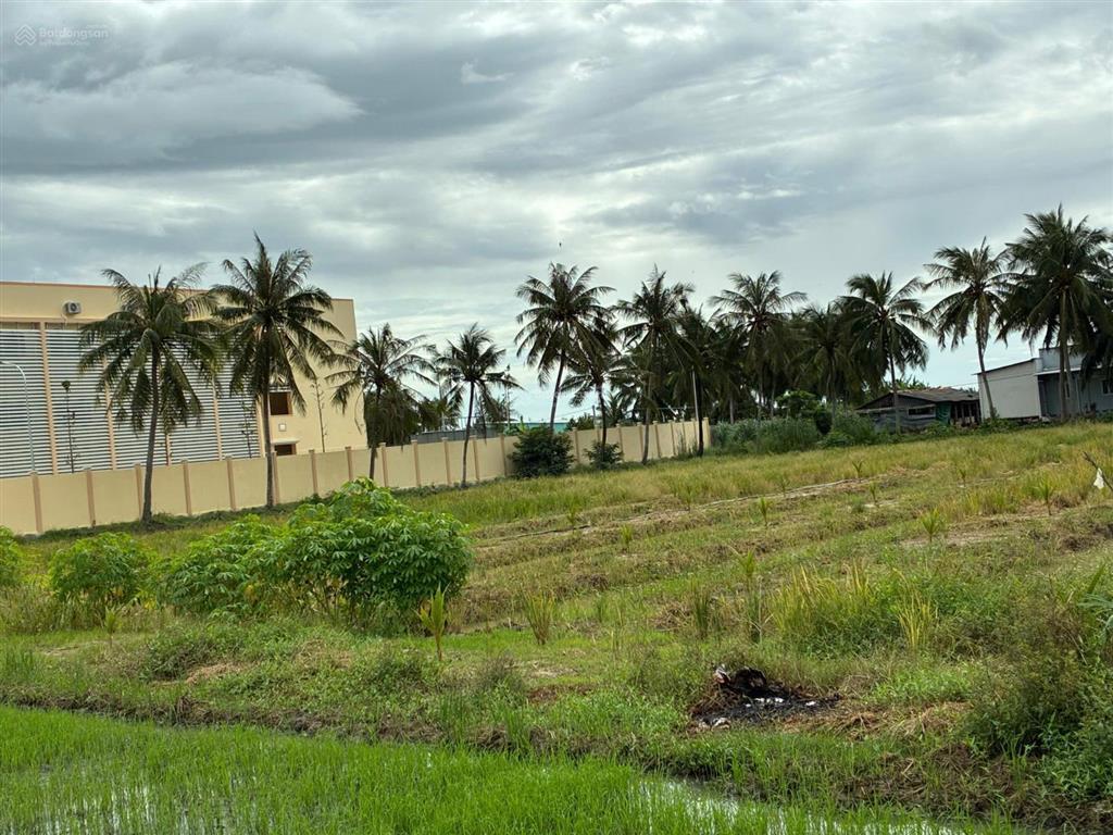 Bán đất cạnh trường tiểu học nguyễn thị tốt, tổng diện tích 5796m2, có 300m2 thổ cư.