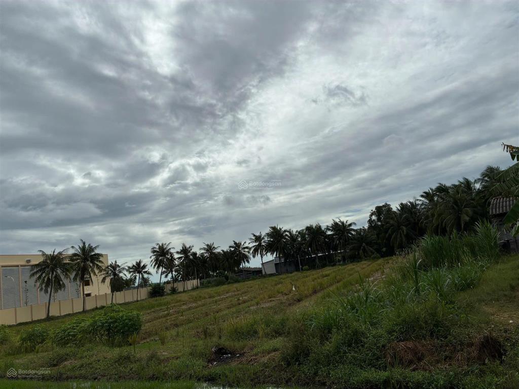 Bán đất cạnh trường tiểu học nguyễn thị tốt, tổng diện tích 5796m2, có 300m2 thổ cư.