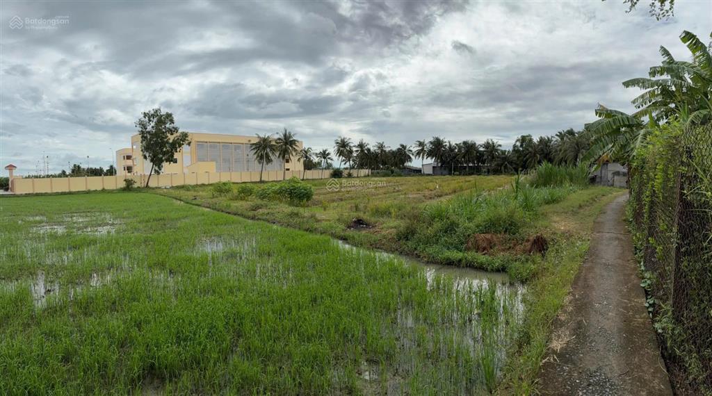 Bán đất cạnh trường tiểu học nguyễn thị tốt, tổng diện tích 5796m2, có 300m2 thổ cư.