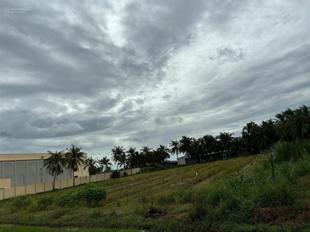 Bán đất cạnh trường tiểu học nguyễn thị tốt, tổng diện tích 5796m2, có 300m2 thổ cư.