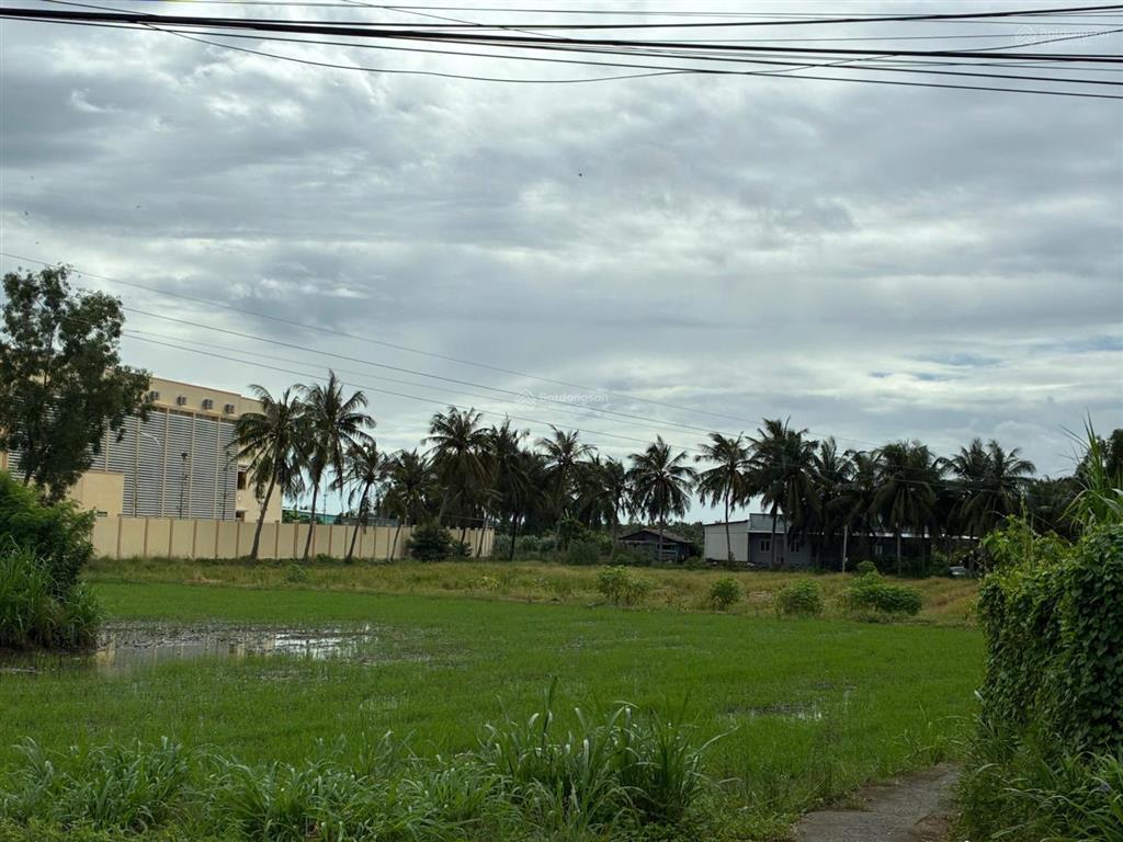 Bán đất cạnh trường tiểu học nguyễn thị tốt, tổng diện tích 5796m2, có 300m2 thổ cư.