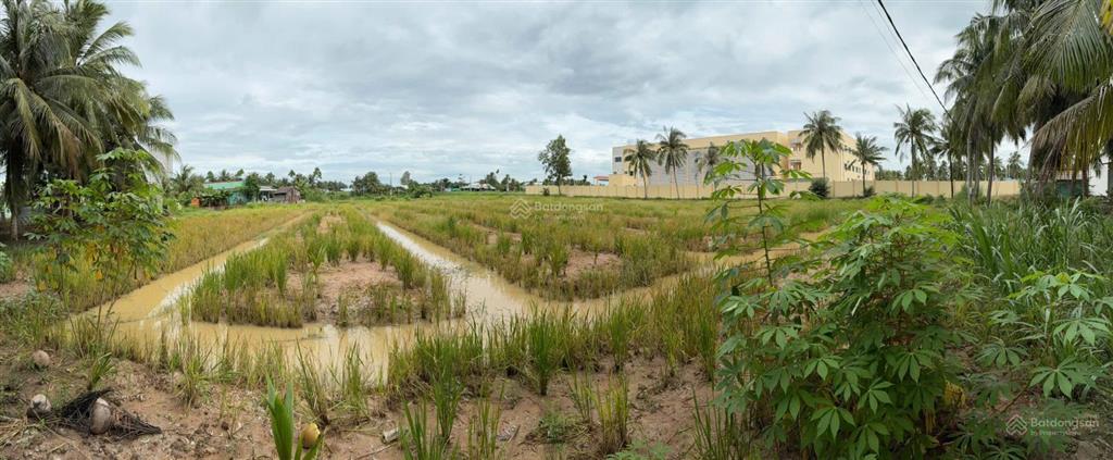 Bán đất cạnh trường tiểu học nguyễn thị tốt, tổng diện tích 5796m2, có 300m2 thổ cư.