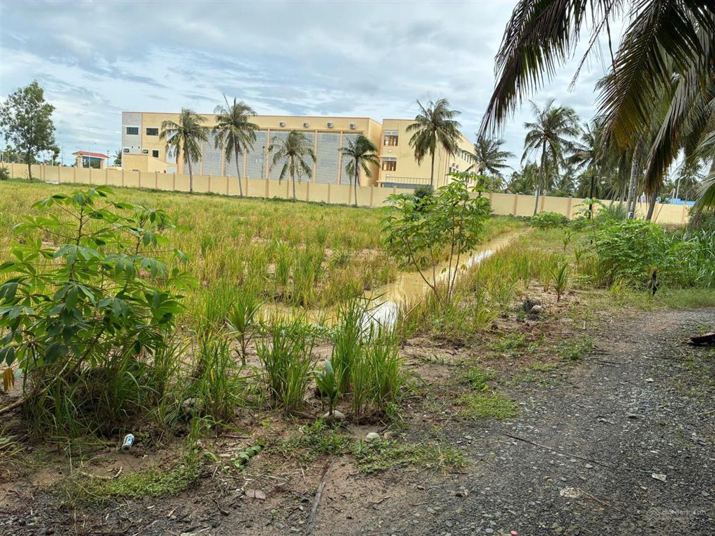 Bán đất cạnh trường tiểu học nguyễn thị tốt, tổng diện tích 5796m2, có 300m2 thổ cư.