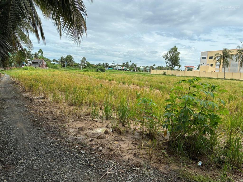 Bán đất cạnh trường tiểu học nguyễn thị tốt, tổng diện tích 5796m2, có 300m2 thổ cư.