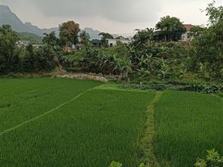 Bán đất tại xã yên bồng, 2,6 tỷ, 3m2