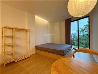 Cho thuê cc mini 1pn, 1wc, 50m2, giá siêu hời tại hoàng sa, đa kao, q1, hcm