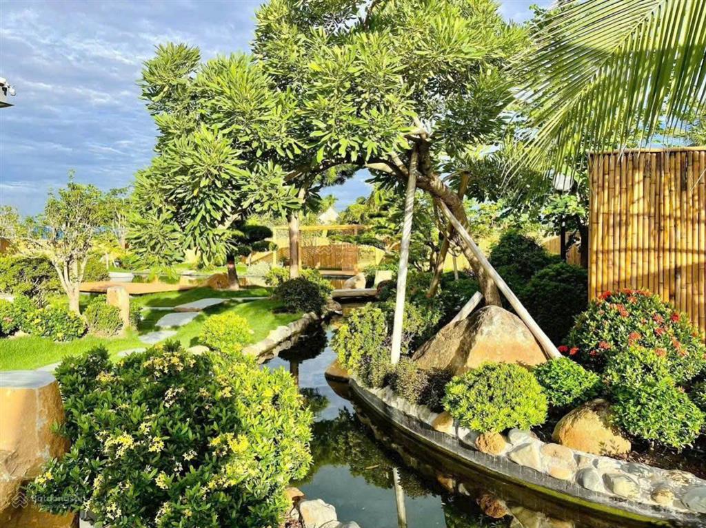 Chuyển nhượng nhà vườn tại dương kinh hoà nghĩa