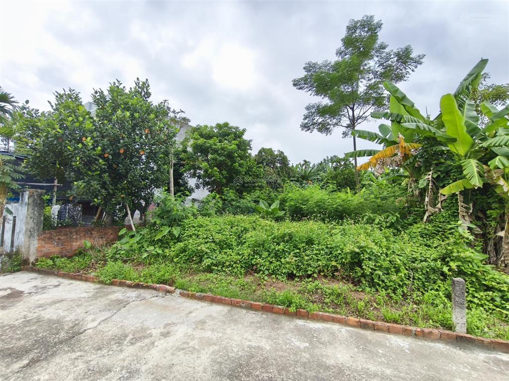 Bán đất ở thôn bồ bản, hòa phong, hòa vang  thổ cư  207m2  chính chủ bán
