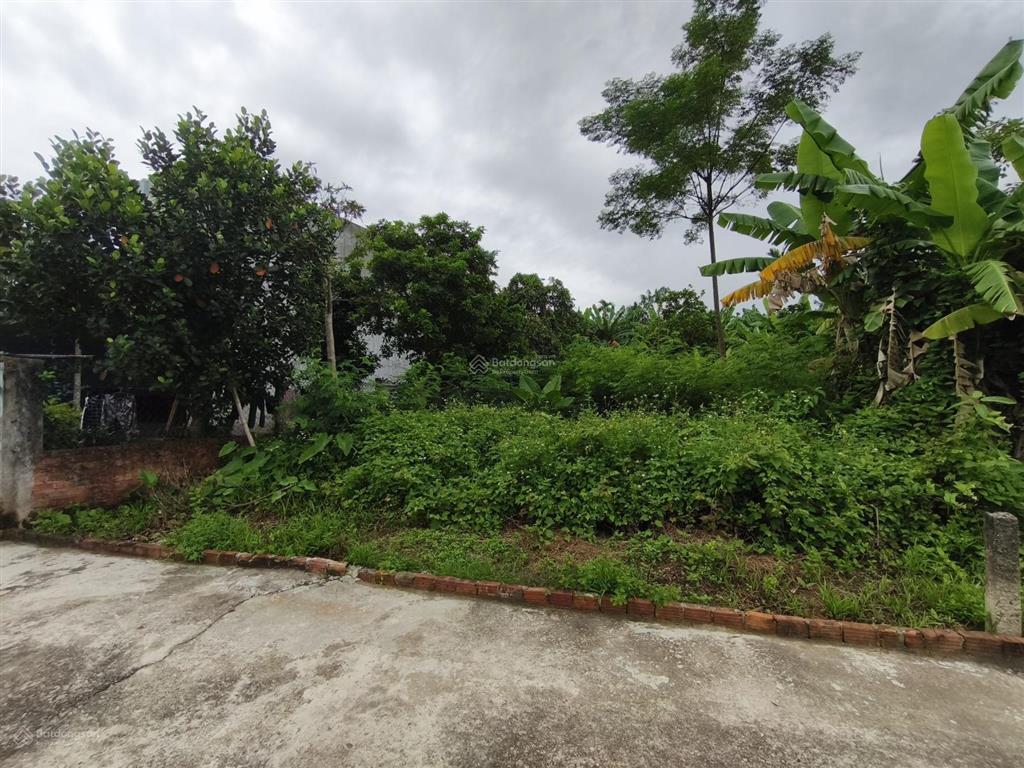 Bán đất ở thôn bồ bản, hòa phong, hòa vang  thổ cư  207m2  chính chủ bán
