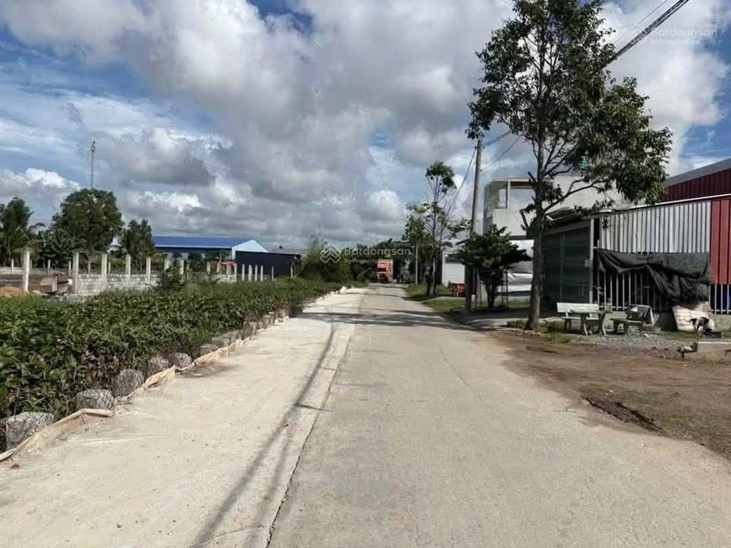 Hàng mới vừa lên, giá cực tốt!