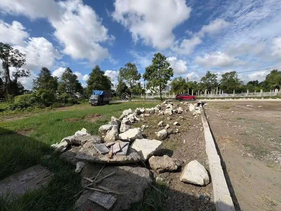 Hàng mới vừa lên, giá cực tốt!