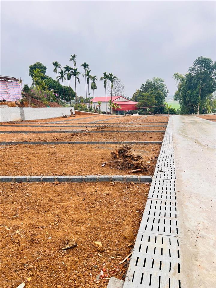 330 triệu, bán đất ở đường tỉnh lộ 317, xã tu vũ, thanh thủy, phú thọ, 105m² giá siêu hời