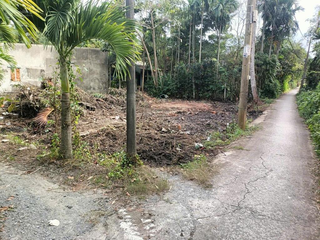 310m2,đất thổ cư bùi công trừng,hóc môn chỉ 4ty990tr