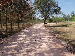 458m2, có 50m2 thổ cư, thích hợp làm nhà vườn, châu thành, tây ninh