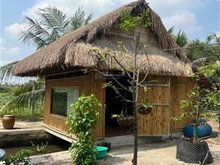 Nhà vườn 1193m2 đúng chuẩn vac (vườn  ao  chuồng), bình mỹ  củ chi  chỉ 6.7 tỷ  ô tô tận cửa