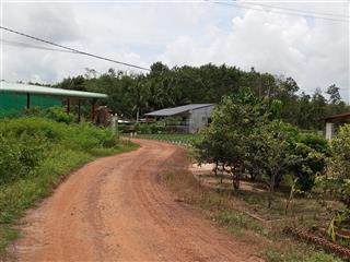Tây ninh, ngang 38m, dt tổng 1062m2, chỉ 10 phút tiếp cận mọi tiện ích. giá 439 triệu thương lượng