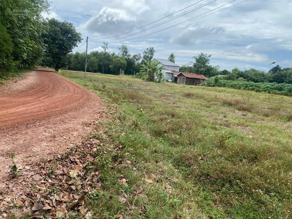 Cách trung tâm hành chính hảo đước châu thành, tây ninh 1km, với 458m2 có 50m2 thổ cư. chỉ 550triệu