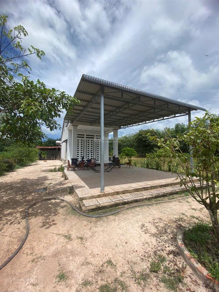 Cách trung tâm hành chính hảo đước châu thành, tây ninh 1km, với 458m2 có 50m2 thổ cư. chỉ 550triệu
