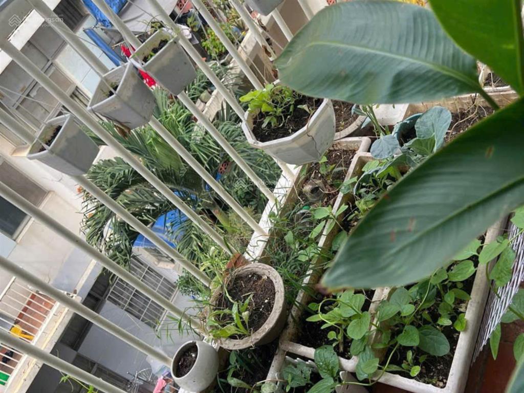 Hàng hiếm  chung cư hưng vượng 1  78m²  tầng 2  2pn  nguyễn văn linh  quận 7  tphcm
