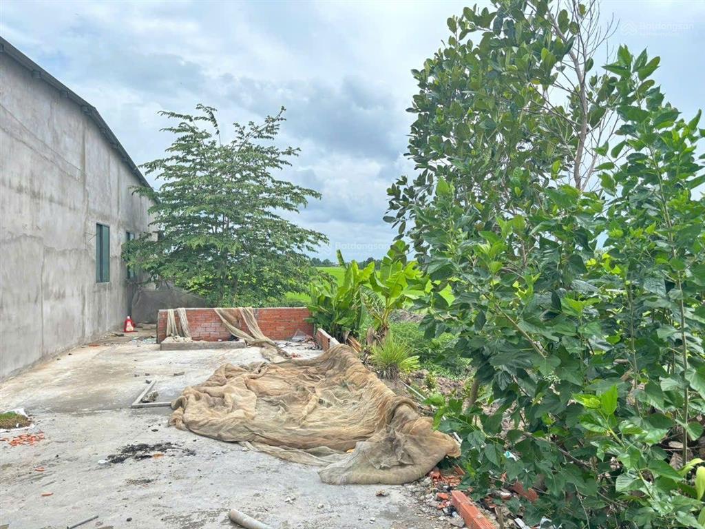 Hiếm có! chỉ 2,3 tỷ sở hữu nhà vườn gần 2000m2, có sẵn nhà c4 285m2 thổ cư