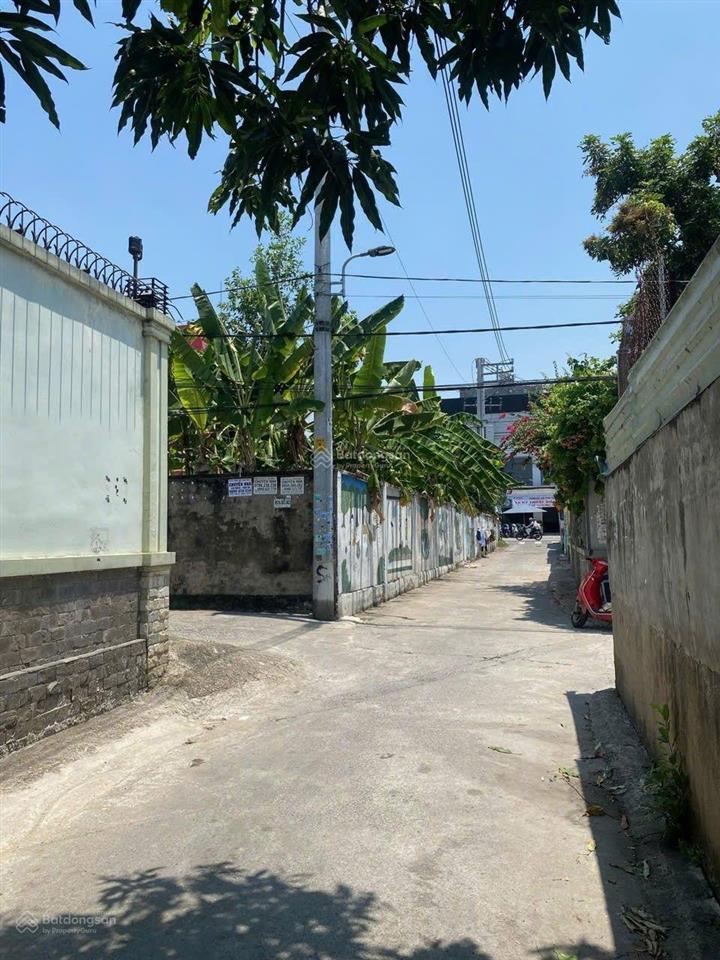 73m2 đất ô tô thông chỉ 4,3 tỷ ngay công nghệ cao long thạnh mỹ, thành phố thủ đức