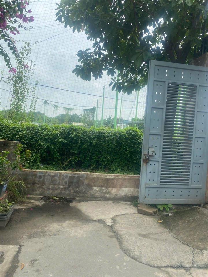 Ô tô tránh, 81,5m2 ngang khủng 6m, khu dân trí mát mẻ đáng sống, linh đông thủ đức