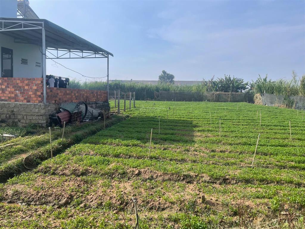 Cơ hội hiếm có, chỉ 590 triệu sở hữu ngay đất thổ cư ven đà lạt, sổ riêng công chứng ngay
