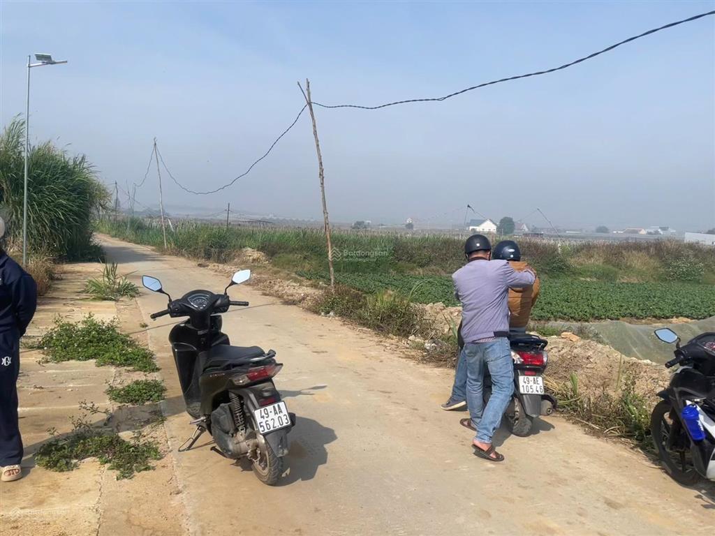 Cơ hội hiếm có, chỉ 590 triệu sở hữu ngay đất thổ cư ven đà lạt, sổ riêng công chứng ngay