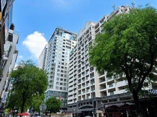 Giảm còn 36 tỷ lê thánh tôn q1 hxh 1 căn ra mặt tiền ngang khủng 8.7m dòng tiền 100tr/th
