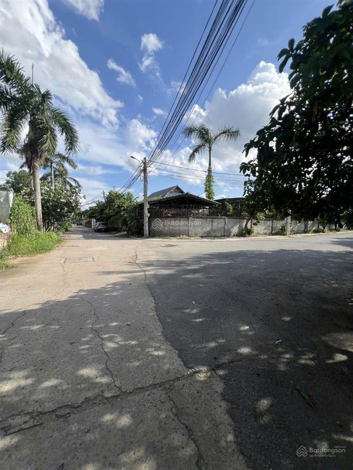 Nóng! bán trong 15 ngày, giá chỉ 5,9 tỷ, 113m2 đất thổ cư ngang 8m đối diện vinhomes q9 thủ đức