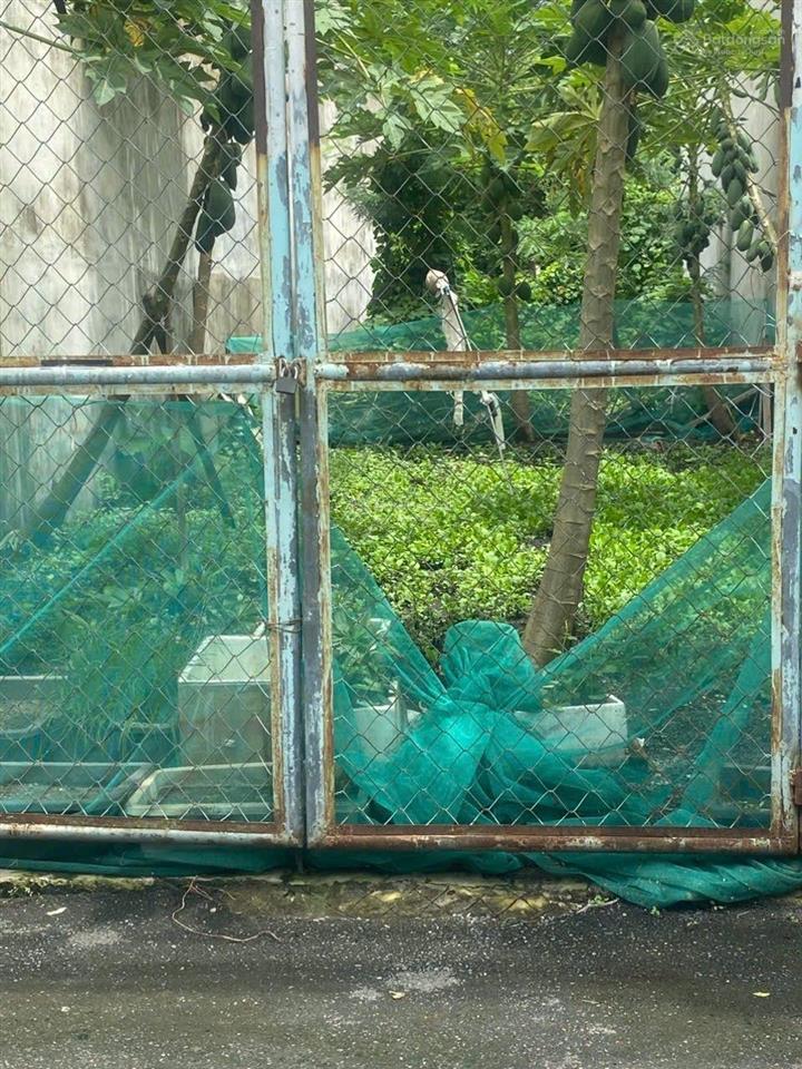 Gấp bán giảm sâu, đất 124.2m2 ngang 5m, khu lõi tăng nhơn phú a, hẻm xe tải gần lã xuân oai