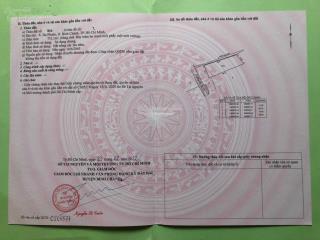 Bán đất trồng cây lâu năm 731m2 đón đầu hạ tầng cầu bình tiên, cách đường song hành ql50 chỉ 1km