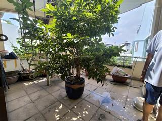 Ngộp nặng  chính chủ cần bán gấp  nhà riêng 61m2/ 4 tầng ở âu cơ tân bình  6.9 tỷ thương lượng