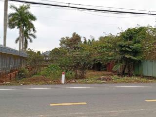 Bán đất nhà vườn biệt thự nghỉ dưỡng long phước  sổ đỏ  pháp lý sạch sẵn sàng giao dịch