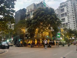 Không có căn thứ 2 ở trần quang diệu, đống đa  ô tô tránh, lô góc, view vườn hoa, gần metro, 20 tỷ