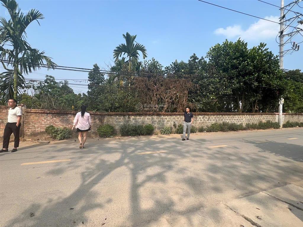 Chính chủ cần bán lô đất 442,8m2, mặt tiền 10m, vị trí kinh doanh,  0868 536 ***