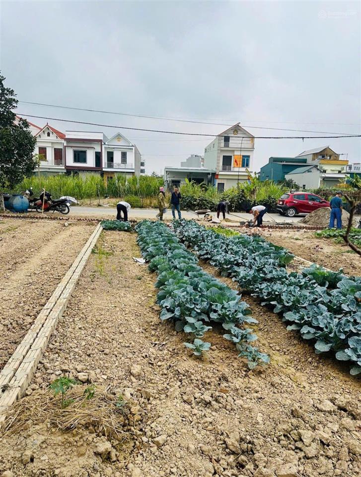 Cơ hội vàng mua đất liền kề vsip hải dương  0944 874 ***